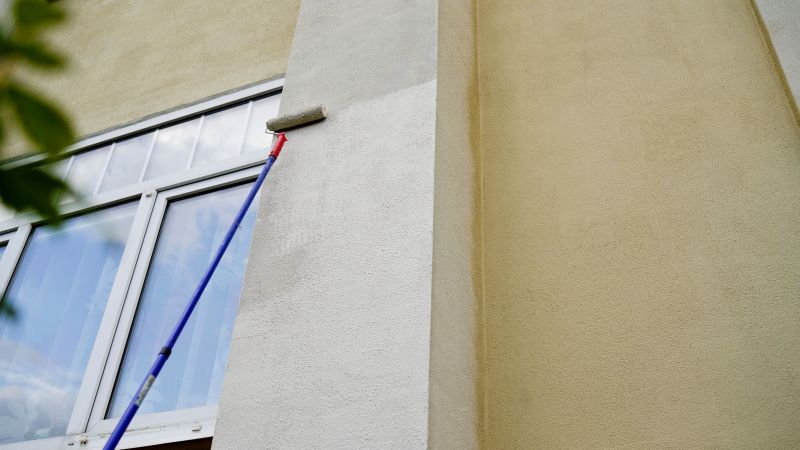 Exterior Cladding Painting